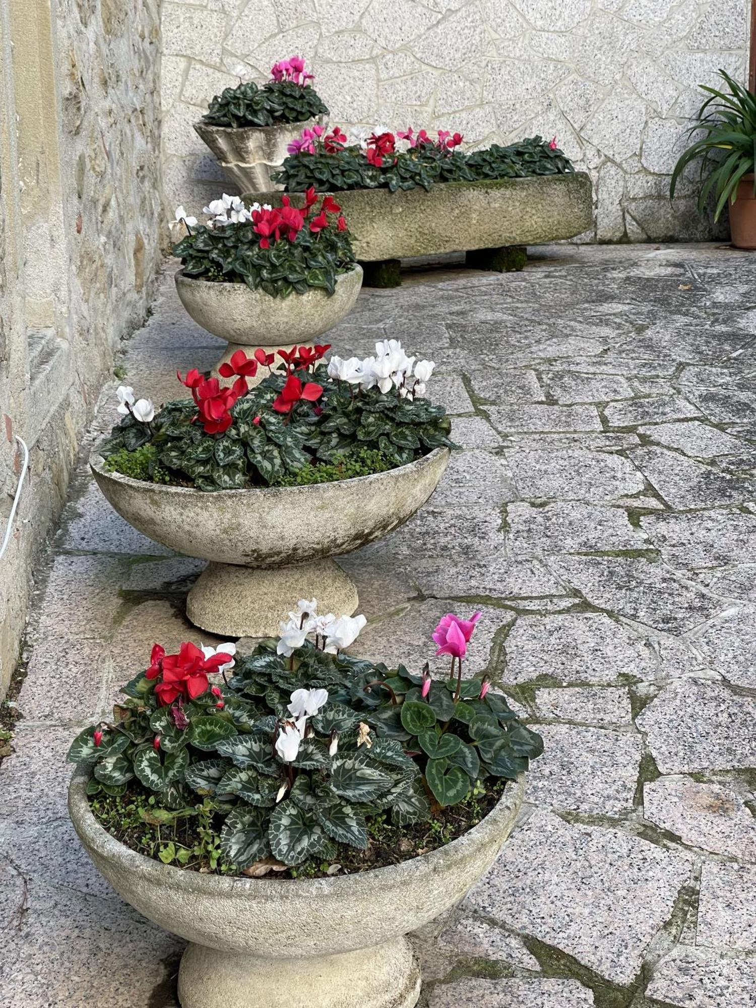 Mazzetti Country House-Vita In Campagna Con Giardino Vimignano-Chiesa Exterior foto