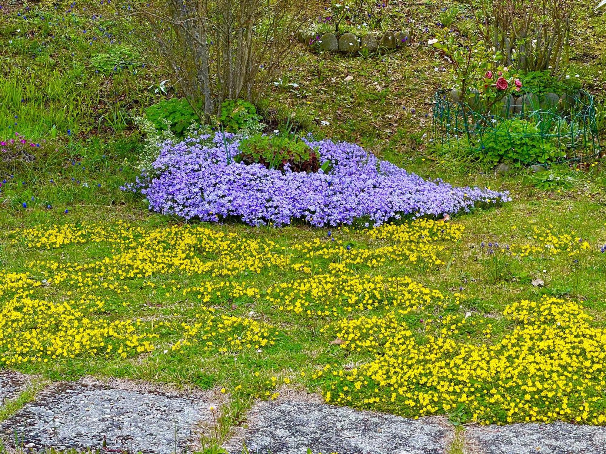 Mazzetti Country House-Vita In Campagna Con Giardino Vimignano-Chiesa Exterior foto